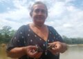 Una sola mujer liberó a más de 130 mil petas en los ríos de la Amazonía boliviana