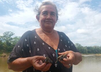 Una sola mujer liberó a más de 130 mil petas en los ríos de la Amazonía boliviana