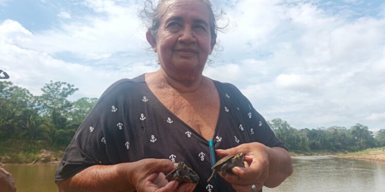 Una sola mujer liberó a más de 130 mil petas en los ríos de la Amazonía boliviana